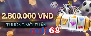 md368