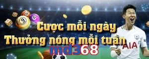 md368